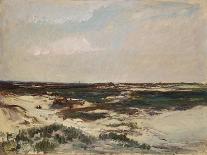 Landscape with a Sunlit Stream, c.1877-Charles Francois Daubigny-Giclee Print