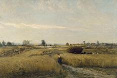 Le marais au soleil couchant (1861)-Charles-François Daubigny-Mounted Giclee Print