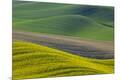 Premium Photographic Print