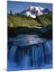 Premium Photographic Print