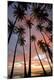 Premium Photographic Print