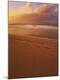 Premium Photographic Print