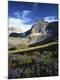 Photographic Print