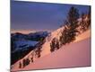 Premium Photographic Print