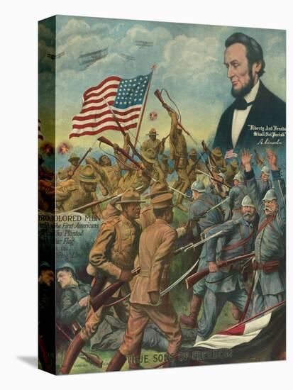 Stretched Canvas Print, , large