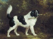 Nelson with a Terrier-Charles Henry Schwanfelder-Giclee Print