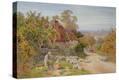 Stretched Canvas Print