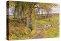 Stretched Canvas Print