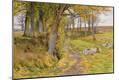Giclee Print