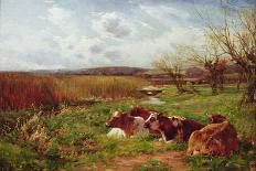 Cattle Grazing-Charles James Adams-Giclee Print