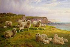 Sheep on a Dorset Coast-Charles Jones-Framed Giclee Print