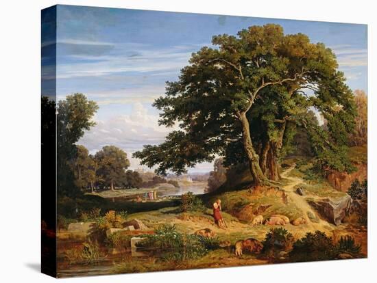 Stretched Canvas Print, , large