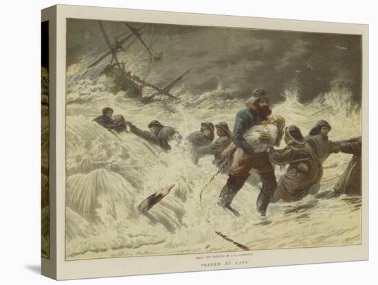 Stretched Canvas Print, , large