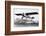 Charles Lindbergh in the "Spirit of St. Louis" Sets off from New York-null-Framed Photographic Print