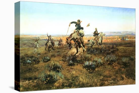 Stretched Canvas Print, , large