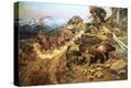 Stretched Canvas Print