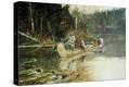 Stretched Canvas Print