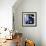 Charles Mingus - The Complete Debut Recordings-null-Framed Art Print displayed on a wall