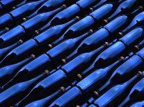 Champagne Bottles Waiting for Labels at Argyle Winery-Charles O'Rear-Photographic Print