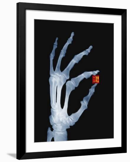 Photographic Print, , large