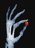Skeletal Hand Holding Computer Chip-Charles O'Rear-Photographic Print