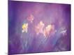 Premium Photographic Print