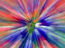 Zoom Abstract of Pansy Flowers-Charles R. Needle-Photographic Print