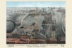 Great Union Stockyards of Chicago-Charles Rascher-Framed Stretched Canvas