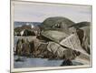 Giclee Print