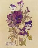 Wild Pansy-Charles Rennie Mackintosh-Art Print