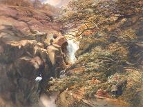 Falls of Bran-Charles Richardson-Giclee Print