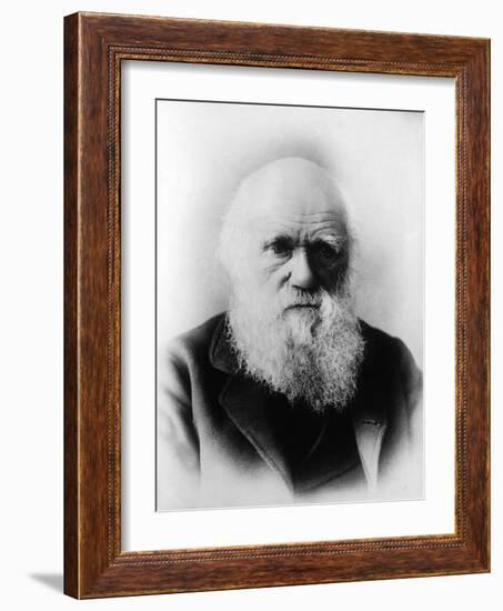 Charles Robert Darwin, English Naturalist-Science Source-Framed Giclee Print