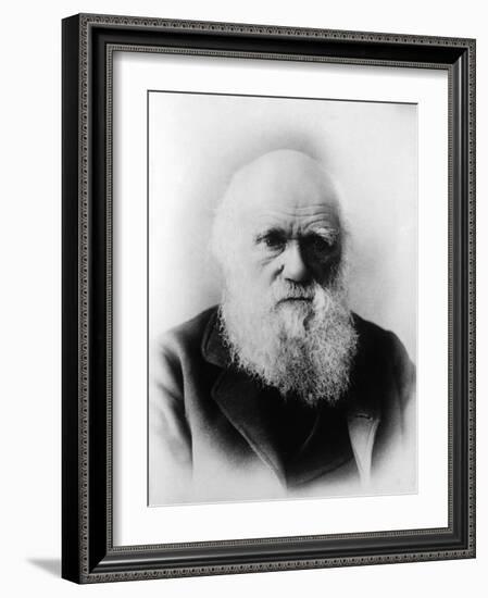 Charles Robert Darwin, English Naturalist-Science Source-Framed Giclee Print