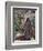 Charles Robert Darwin-John Collier-Framed Giclee Print