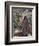 Charles Robert Darwin-John Collier-Framed Giclee Print