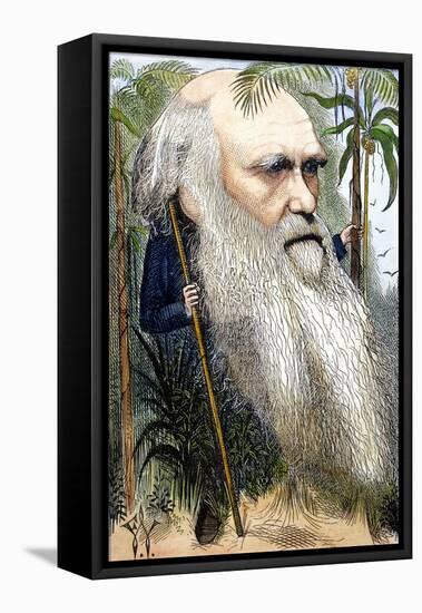 Charles Robert Darwin-Frederick Waddy-Framed Premier Image Canvas