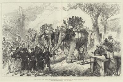 Elephants Fine Art Wall Art: Prints, Paintings & Posters