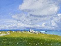 Iona Farm, 2013-Charles Simpson-Giclee Print