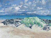 Rocks & Grasses, Iona, 2013-Charles Simpson-Framed Giclee Print