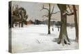 Stretched Canvas Print