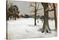 Stretched Canvas Print
