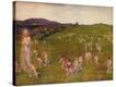 Stretched Canvas Print