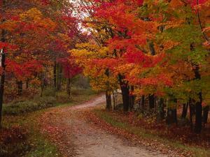 Country Road in the Fall, Vermont, USA