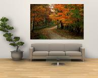 Vermont Country Road in Fall, USA-Charles Sleicher-Photographic Print