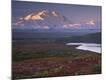 Photographic Print