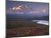 Photographic Print
