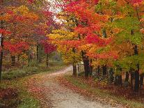 Country Road in the Fall, Vermont, USA-Charles Sleicher-Photographic Print