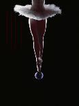 Ballerina Balancing on a Bubble-Charles Smith-Framed Premier Image Canvas