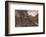 Charles Stuart in Hiding-null-Framed Photographic Print