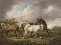 Three Horses in a Stormy Landscape-Charles Towne-Framed Giclee Print